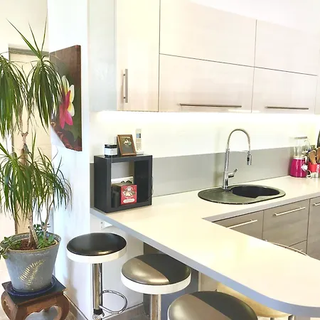 Apartament Dans Maison De Avec Jardin Nicea