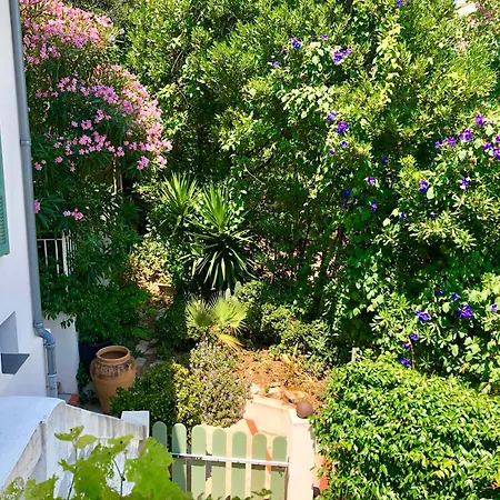 Dans Maison De Avec Jardin